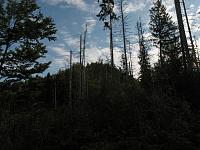   ,   
:  nrk_01.jpg
: 11
:  688,6 
ID:	48022