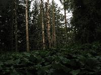   ,   
:  nrk_03.jpg
: 13
:  736,2 
ID:	48024