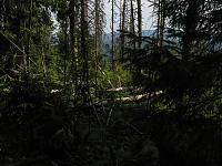   ,   
:  nrk_05.jpg
: 13
:  721,8 
ID:	48026