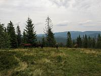   ,   
:  nrk_08.jpg
: 10
:  696,5 
ID:	48029