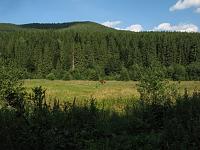   ,   
:  nrk_09.jpg
: 11
:  767,9 
ID:	48030