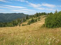   ,   
:  nrk_26.jpg
: 8
:  926,9 
ID:	48047