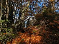   ,   
:  ja-004.JPG
: 3
:  1,35 
ID:	48062