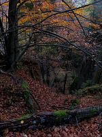   ,   
:  ja-006.JPG
: 2
:  1,17 
ID:	48064