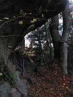   ,   
:  ja-009.JPG
: 2
:  809,0 
ID:	48067