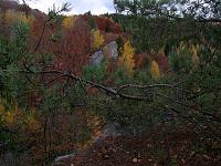   ,   
:  ja-012.JPG
: 2
:  1,06 
ID:	48070