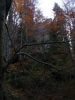   ,   
:  ja-017.JPG
: 2
:  1,05 
ID:	48075