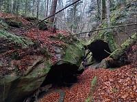   ,   
:  darvtsap01.jpg
: 12
:  948,2 
ID:	48086