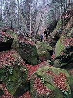   ,   
:  darvtsap03.jpg
: 15
:  1,06 
ID:	48088