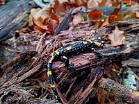   ,   
:  darvtsap05.jpg
: 8
:  648,1 
ID:	48090