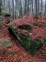   ,   
:  darvtsap07.jpg
: 4
:  1,15 
ID:	48092