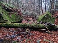   ,   
:  darvtsap08.jpg
: 4
:  1,11 
ID:	48093