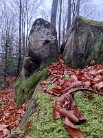   ,   
:  darvtsap18.jpg
: 8
:  702,7 
ID:	48103