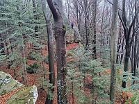   ,   
:  darvtsap19.jpg
: 7
:  1,11 
ID:	48104