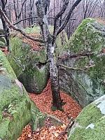   ,   
:  darvtsap23.jpg
: 5
:  1,15 
ID:	48108