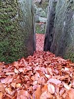   ,   
:  darvtsap24.jpg
: 4
:  1.004,1 
ID:	48109