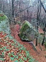   ,   
:  darvtsap25.jpg
: 4
:  1,25 
ID:	48110