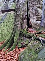   ,   
:  darvtsap33.jpg
: 4
:  1,06 
ID:	48118