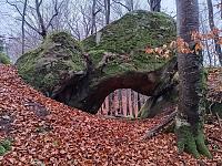   ,   
:  darvtsap35.jpg
: 6
:  1,15 
ID:	48120