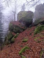 ��� �������� �������, �������� �� �����
�����:  Ri-Pa02.jpg
���������: 7
�����:  970,3 ��
ID:	48132