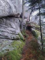 ��� �������� �������, �������� �� �����
�����:  Ri-Pa12.jpg
���������: 6
�����:  1,11 ��
ID:	48142