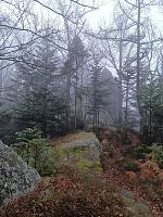 ��� �������� �������, �������� �� �����
�����:  Ri-Pa19.jpg
���������: 9
�����:  1,04 ��
ID:	48149