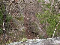 ��� �������� �������, �������� �� �����
�����:  Yamel_15.JPG
���������: 0
�����:  1,26 ��
ID:	48192